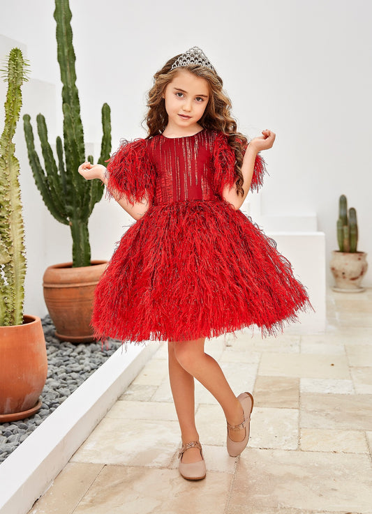 Elegant Feathers Red Puffy Girl Dress Set