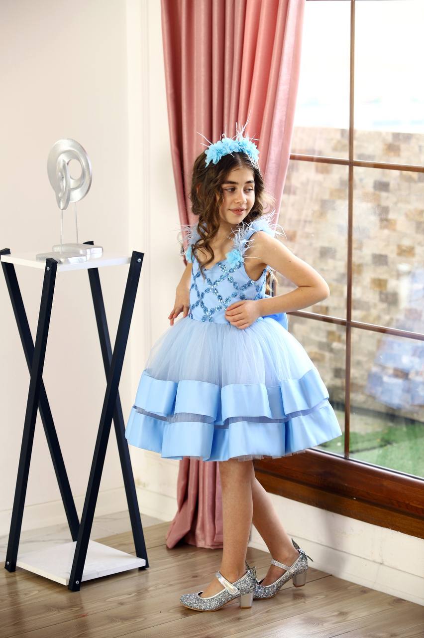 Blue Lining Puffy Sleeveless Dress Set | Dressy Angels